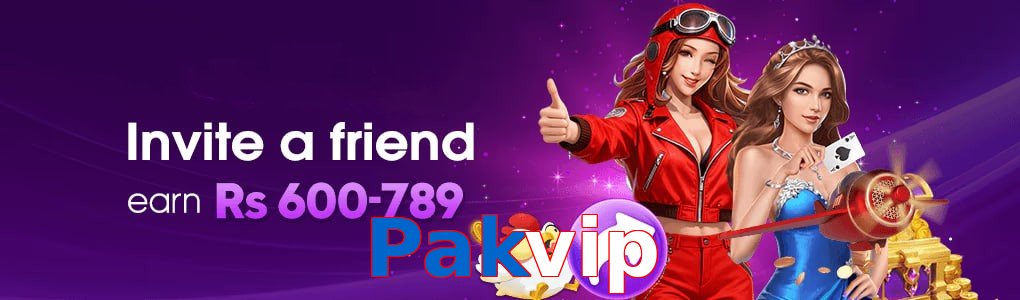 Pakvip interface sample